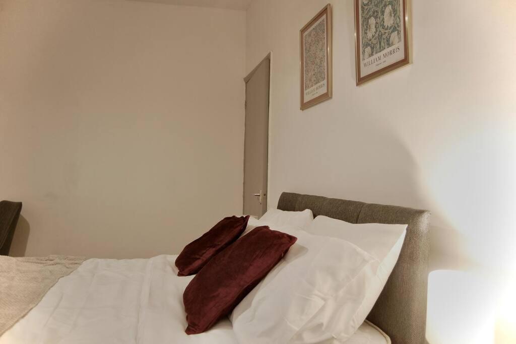 Apartment Contemporary Studio